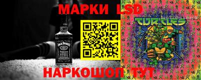 СК Канаш