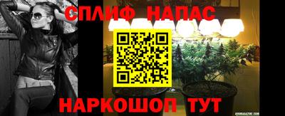 СК Канаш
