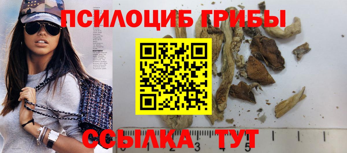 Галлюциногенные грибы Psilocybine cubensis  Вход с VPN  Ишимбай 